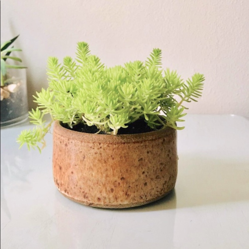 Vintage 80s Handmade Stoneware Planter Small | Succulent Office Desk Table Decor